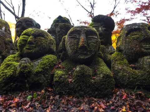Autumn Colours of Japan: Immersive Photography Tour Through Japan